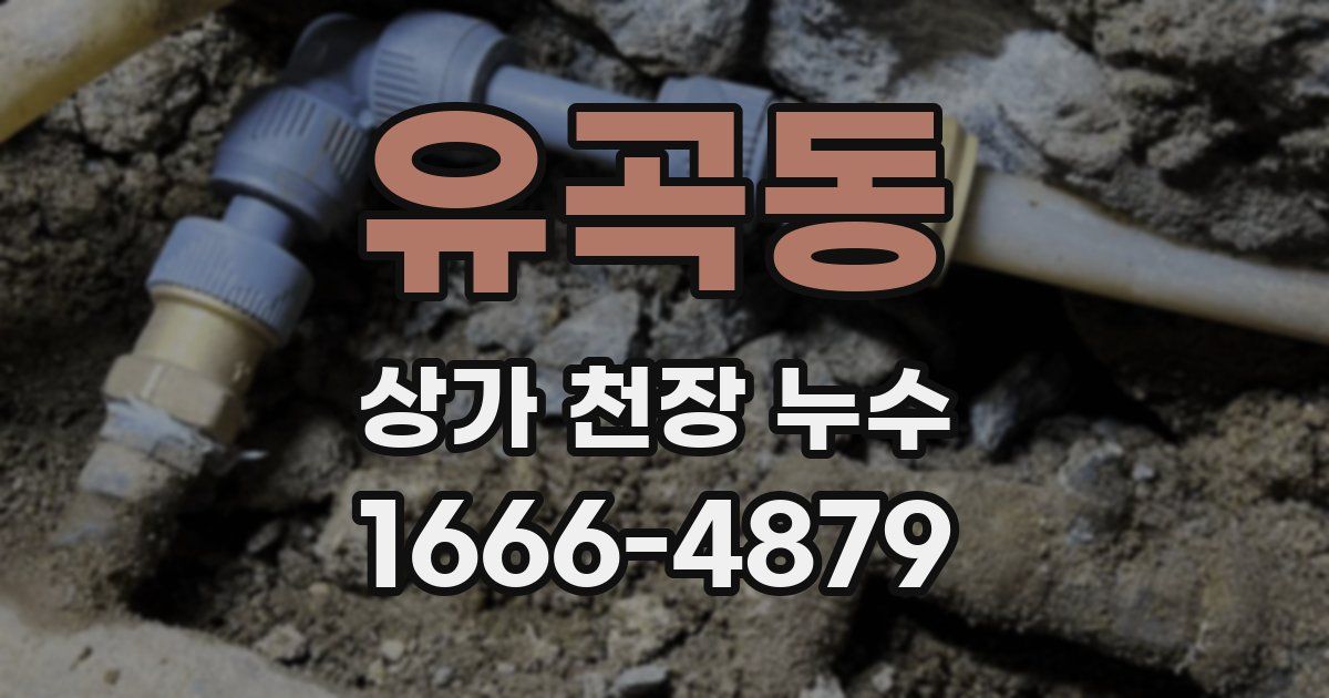 유곡동 상가 천장 누수