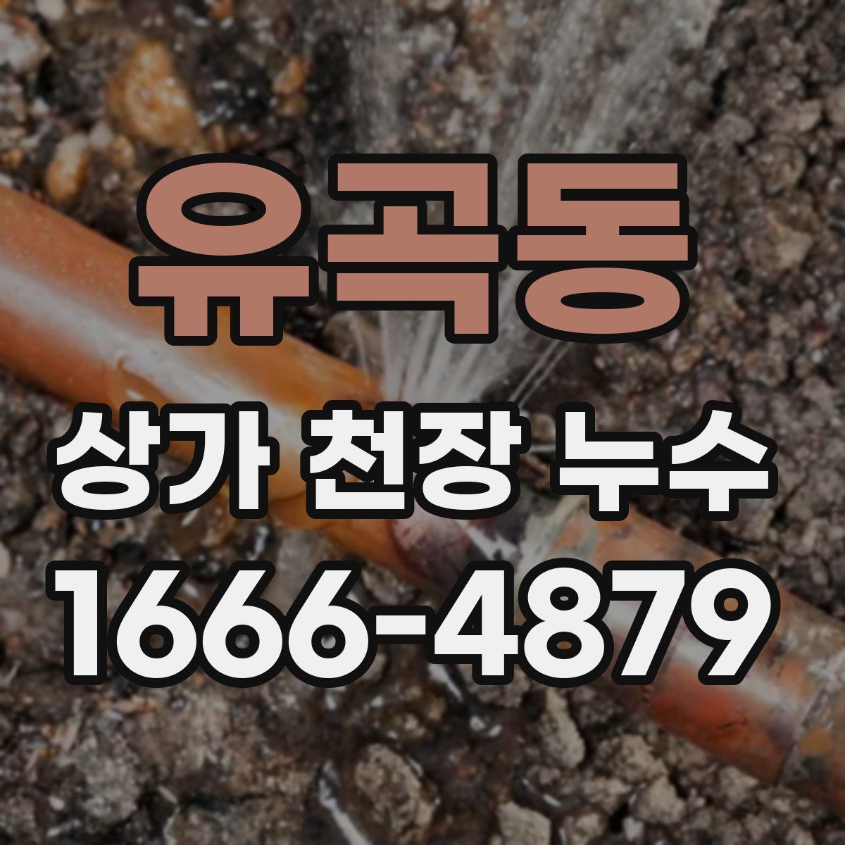 유곡동 상가 천장 누수