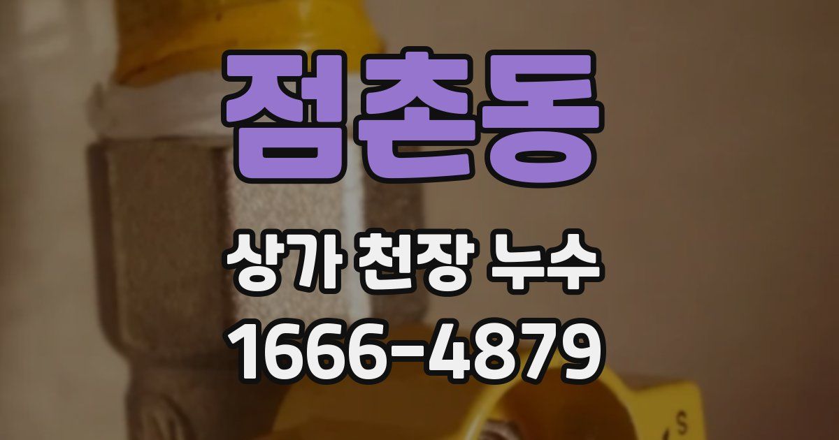 점촌동 상가 천장 누수