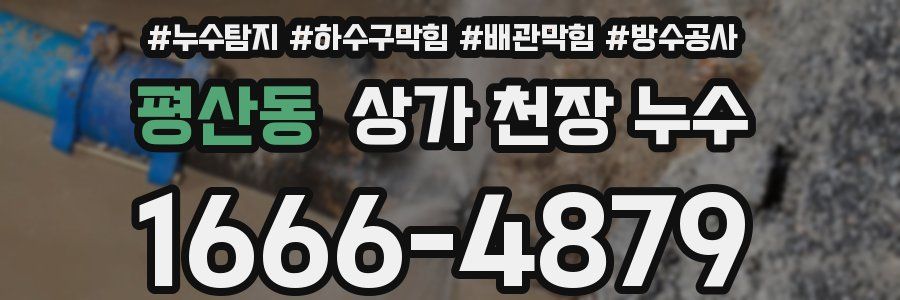 평산동 상가 천장 누수