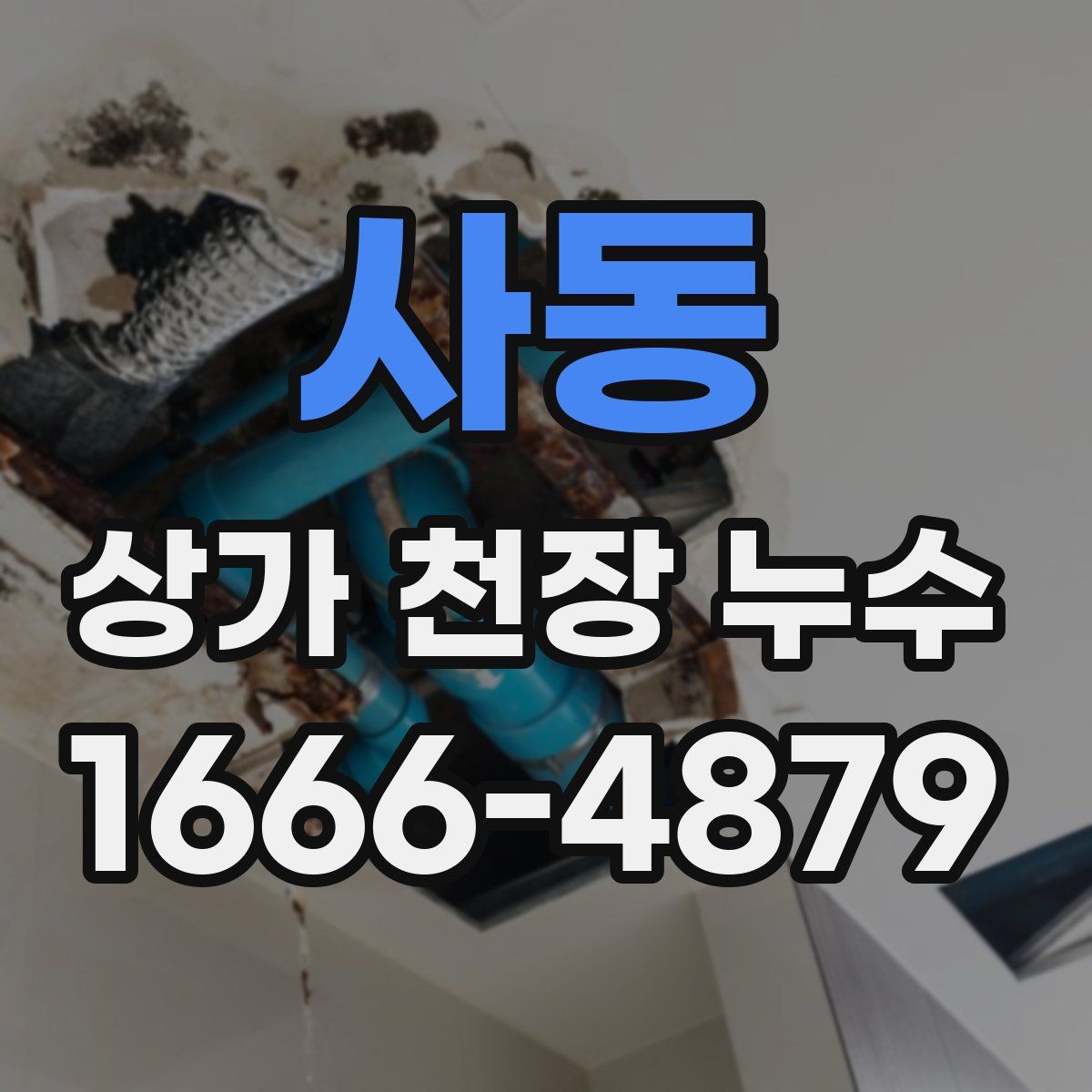사동 상가 천장 누수