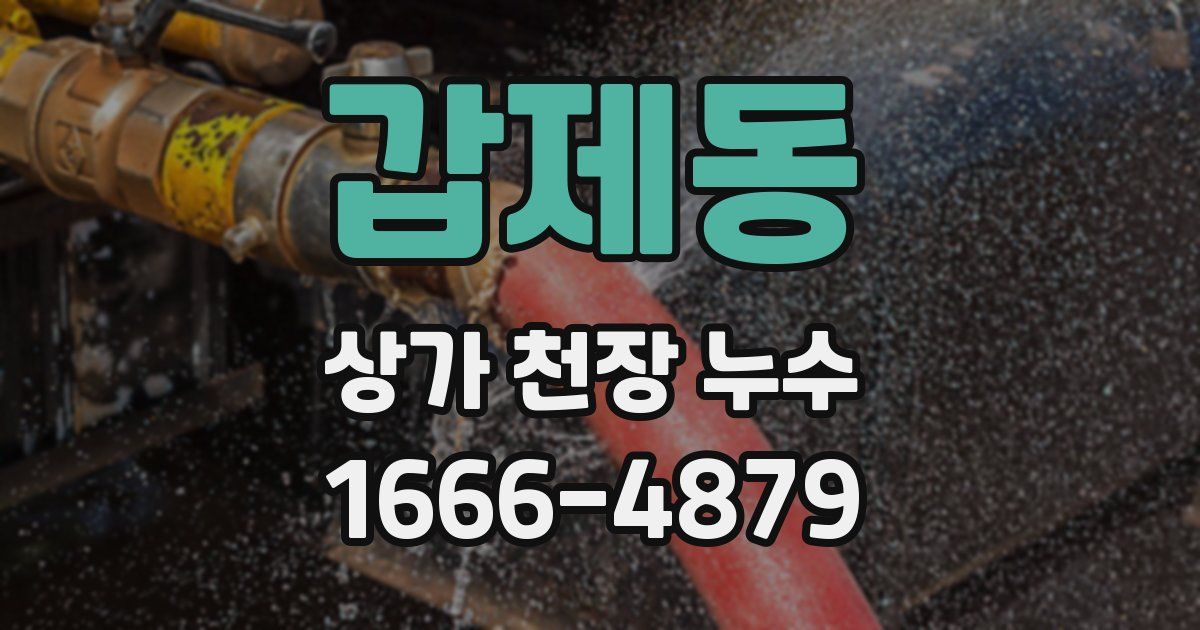 갑제동 상가 천장 누수