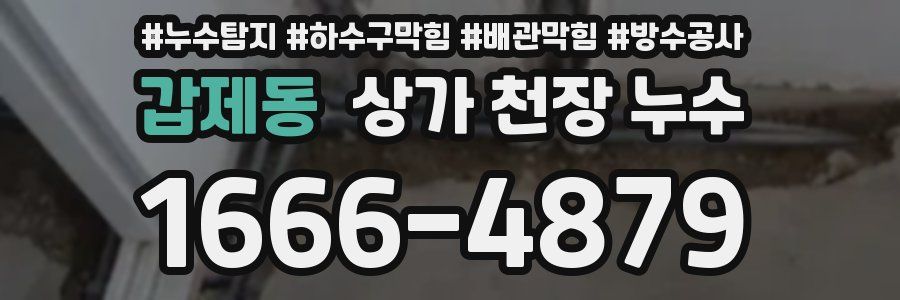 갑제동 상가 천장 누수
