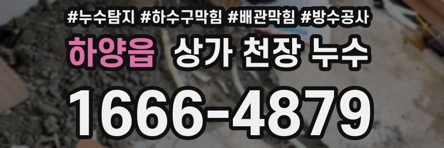 하양읍 상가 천장 누수