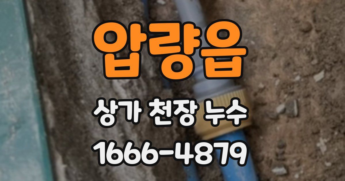 압량읍 상가 천장 누수