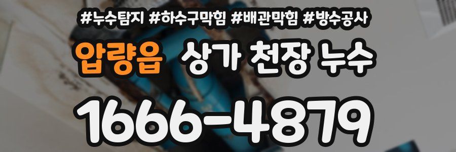 압량읍 상가 천장 누수
