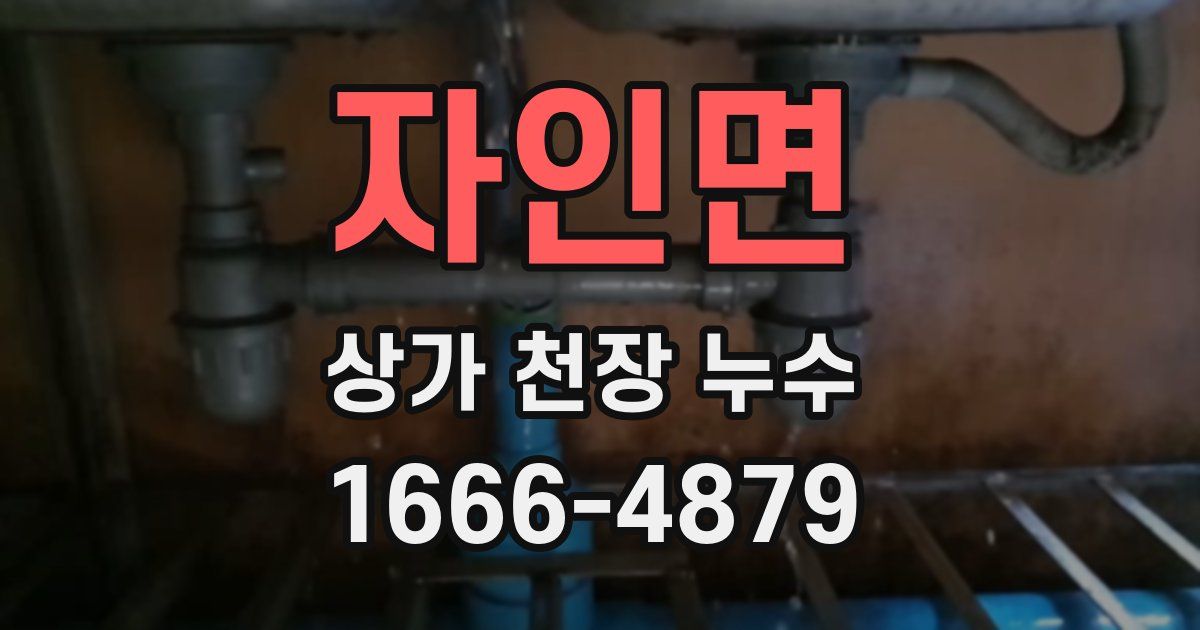 자인면 상가 천장 누수
