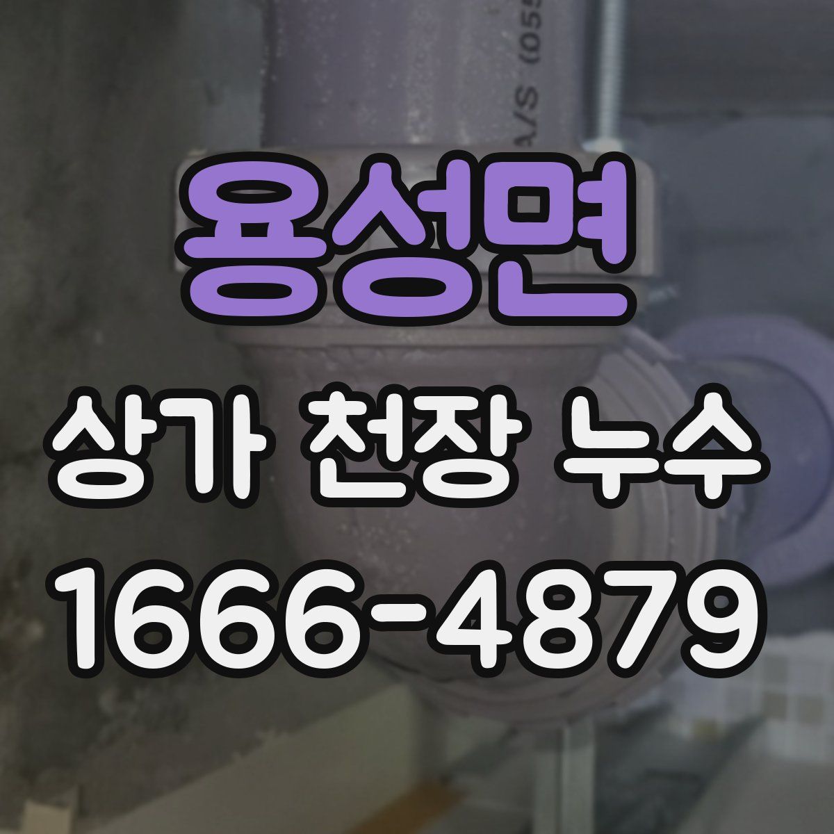 용성면 상가 천장 누수