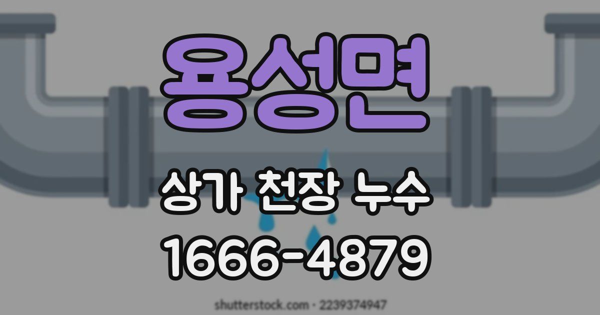 용성면 상가 천장 누수