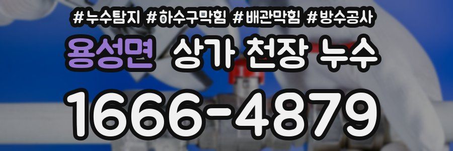 용성면 상가 천장 누수