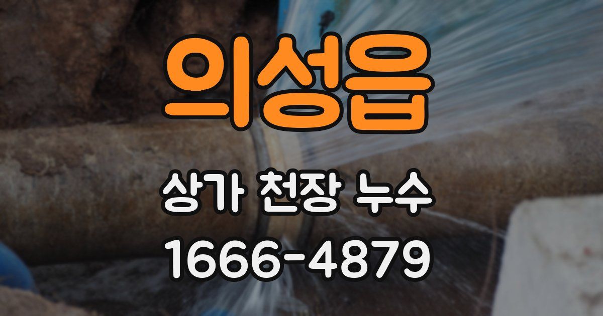 의성읍 상가 천장 누수