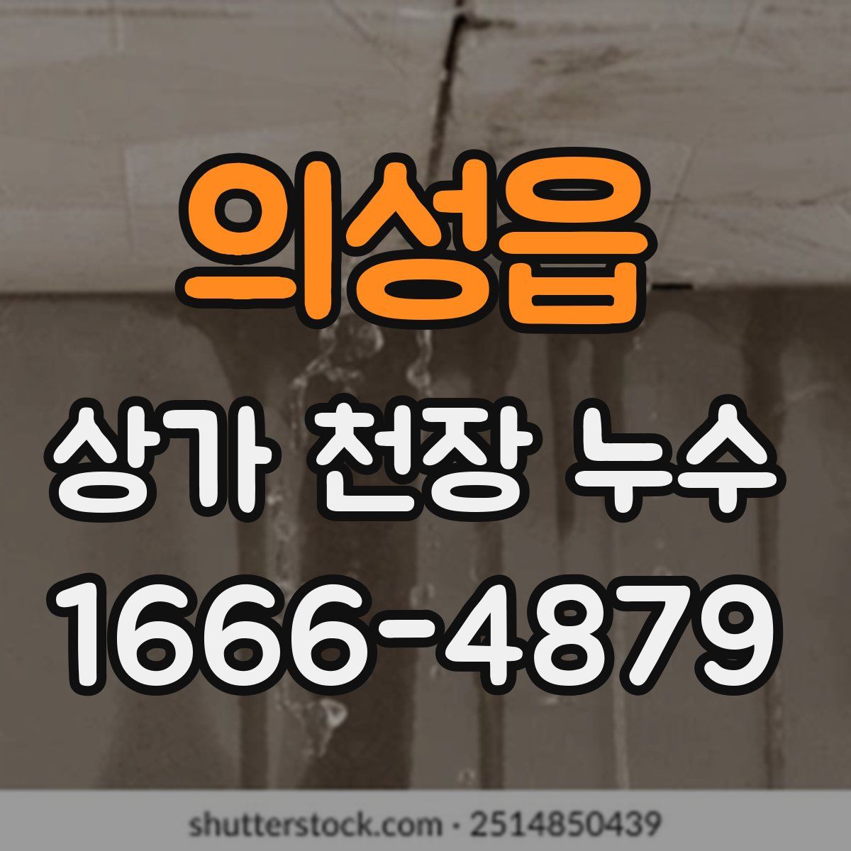 의성읍 상가 천장 누수