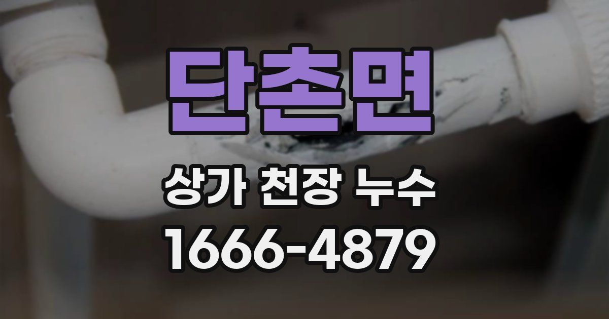 단촌면 상가 천장 누수