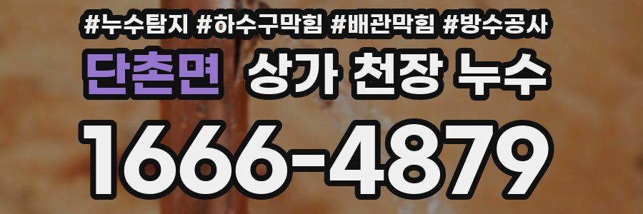 단촌면 상가 천장 누수