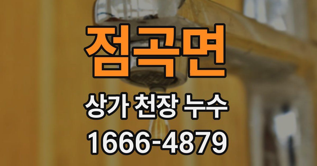 점곡면 상가 천장 누수