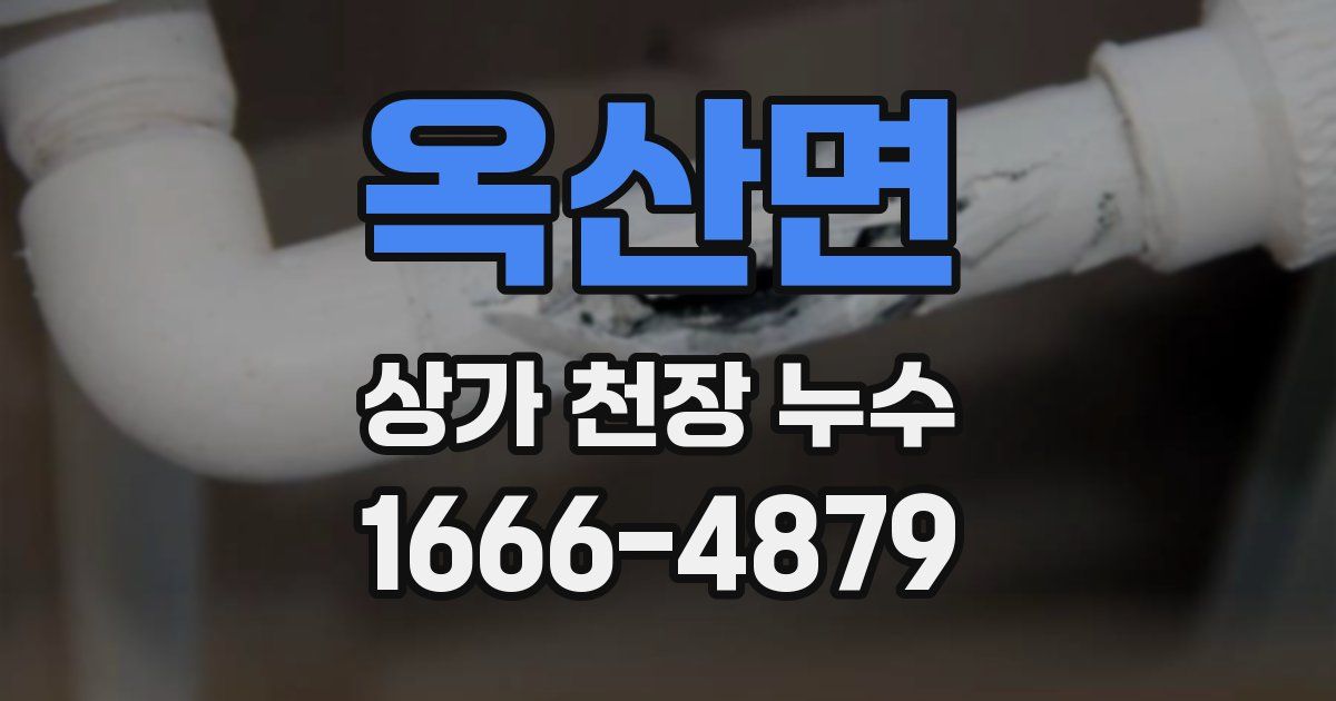 옥산면 상가 천장 누수