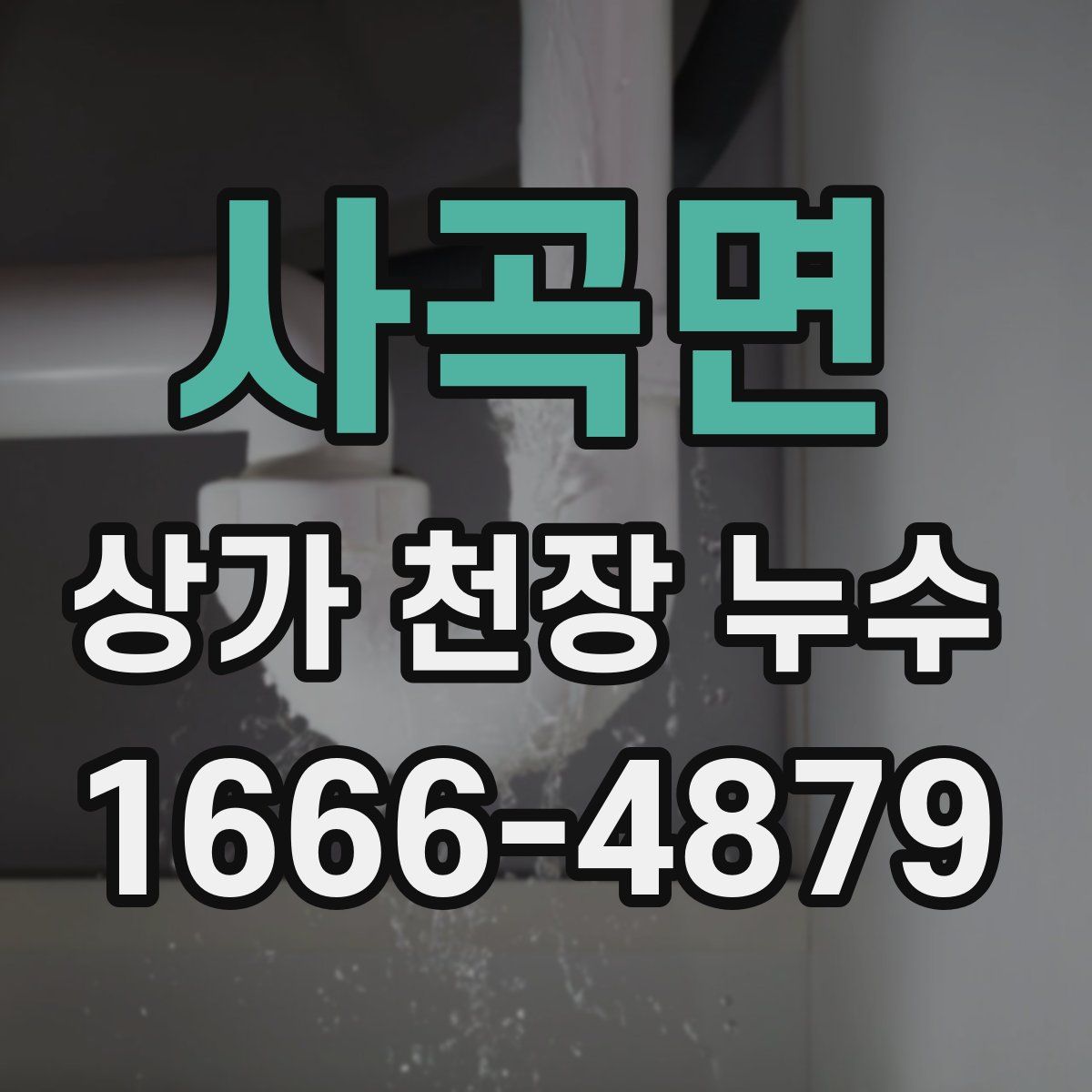 사곡면 상가 천장 누수