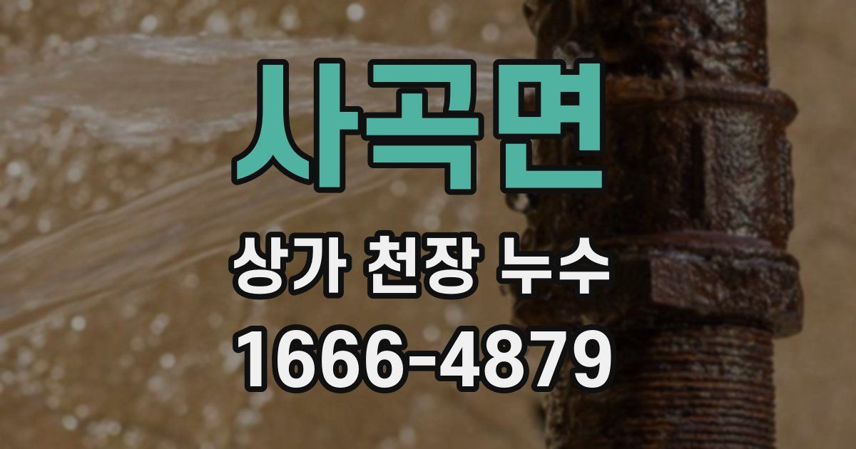 사곡면 상가 천장 누수