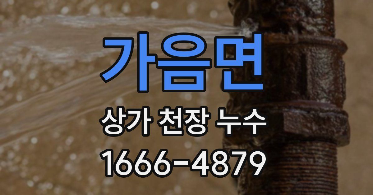 가음면 상가 천장 누수