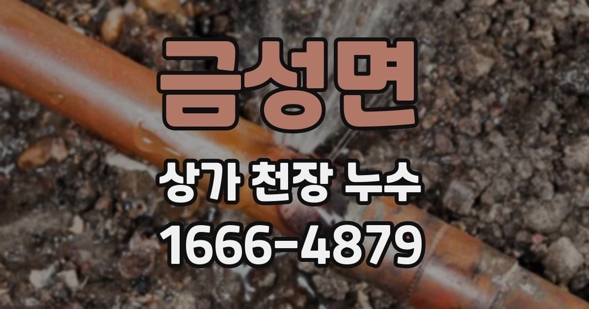 금성면 상가 천장 누수