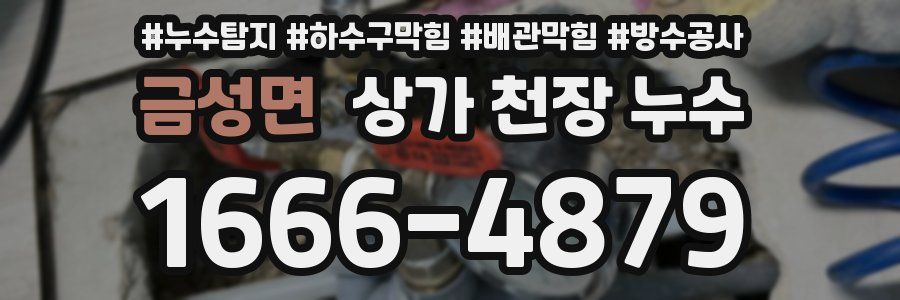 금성면 상가 천장 누수