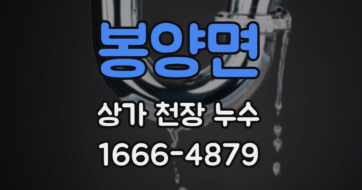 봉양면 상가 천장 누수