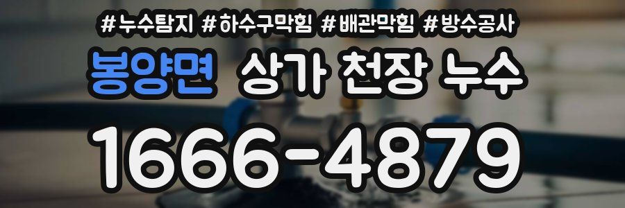 봉양면 상가 천장 누수