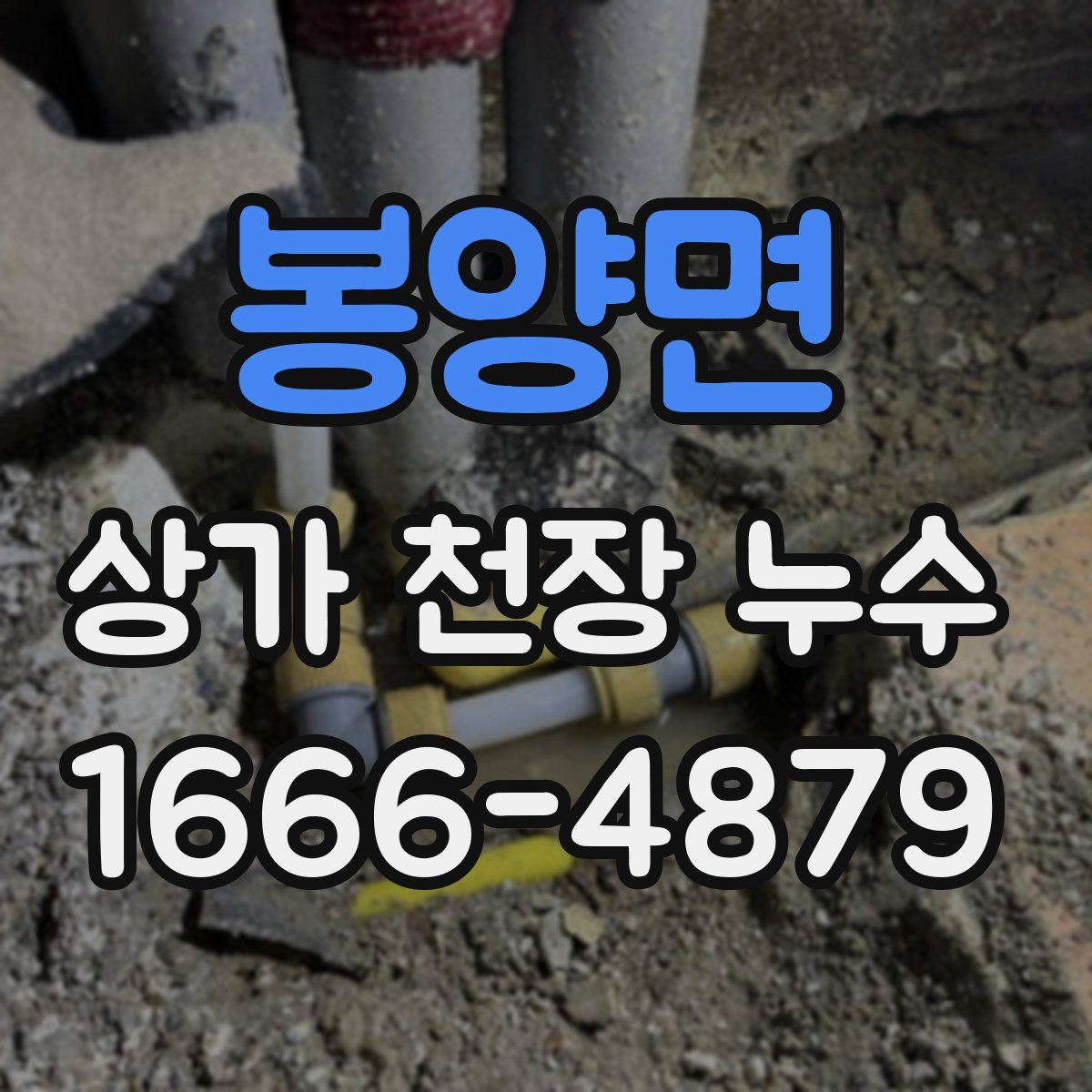 봉양면 상가 천장 누수