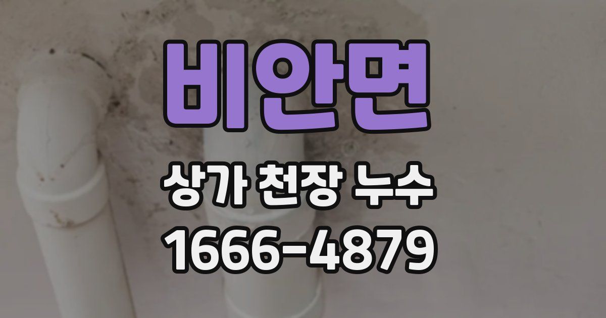 비안면 상가 천장 누수
