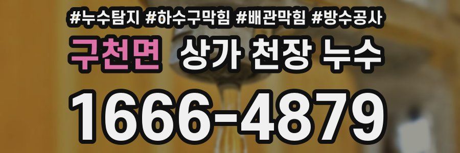 구천면 상가 천장 누수