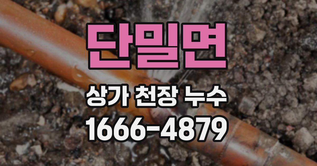 단밀면 상가 천장 누수