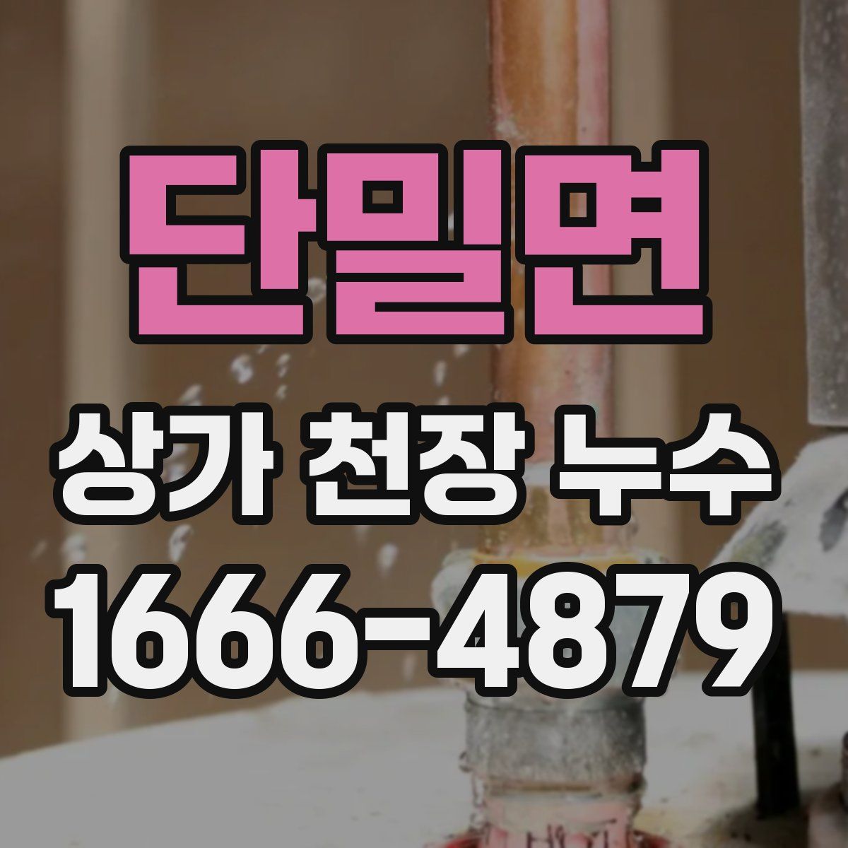 단밀면 상가 천장 누수