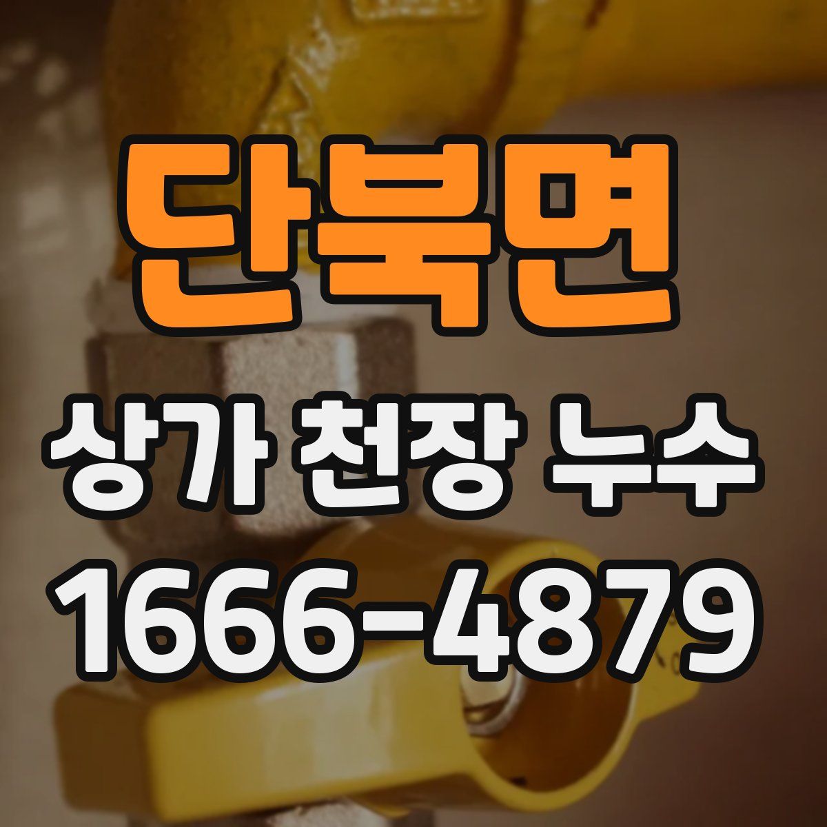 단북면 상가 천장 누수