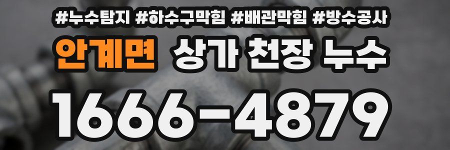 안계면 상가 천장 누수