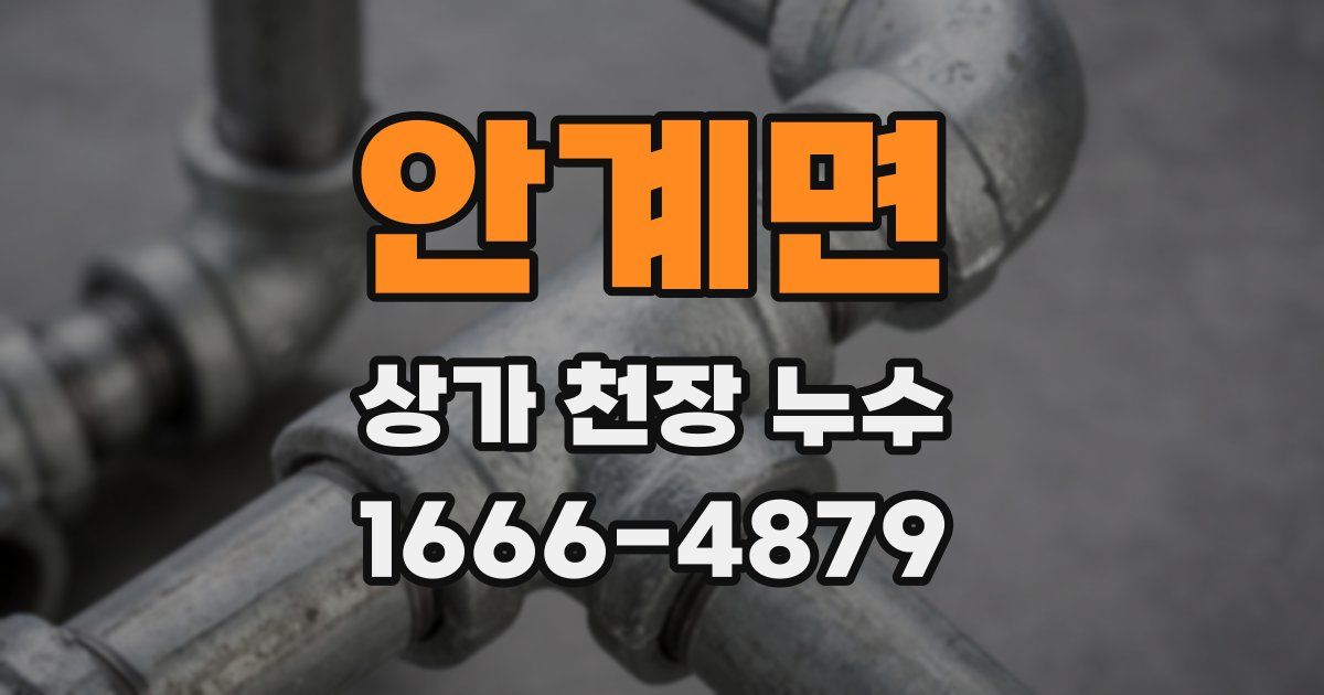 안계면 상가 천장 누수