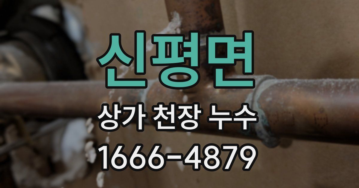 신평면 상가 천장 누수