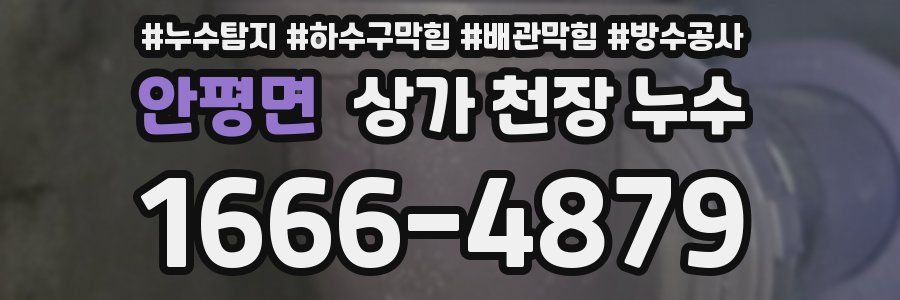 안평면 상가 천장 누수