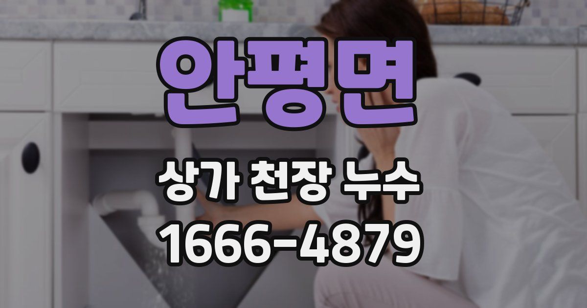 안평면 상가 천장 누수