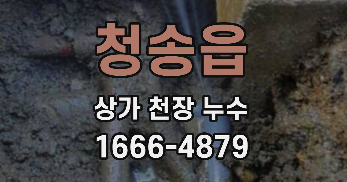 청송읍 상가 천장 누수