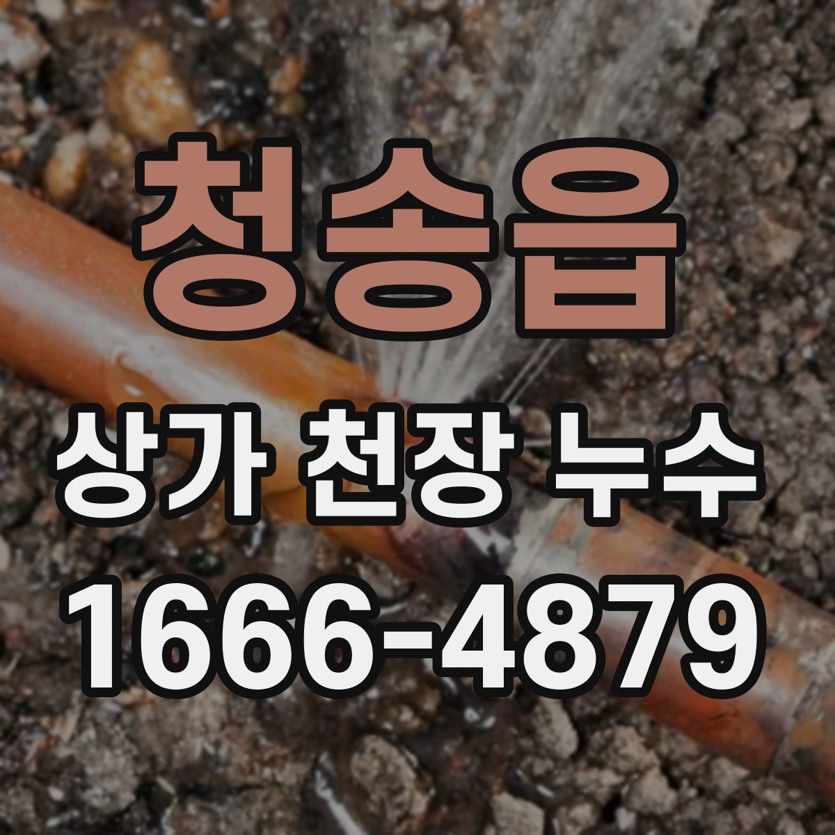 청송읍 상가 천장 누수