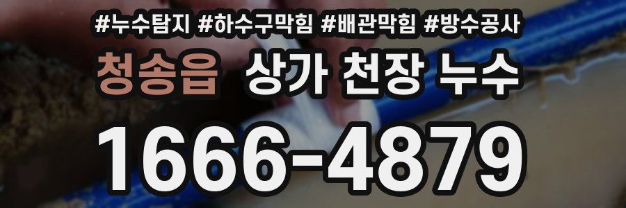 청송읍 상가 천장 누수