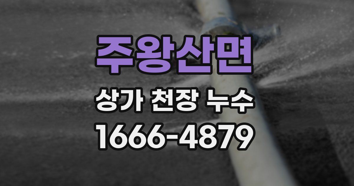주왕산면 상가 천장 누수