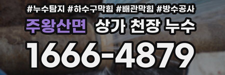 주왕산면 상가 천장 누수