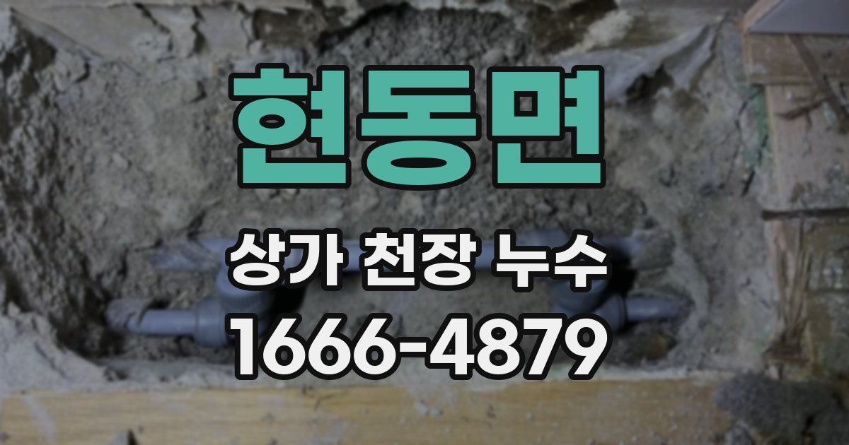 현동면 상가 천장 누수
