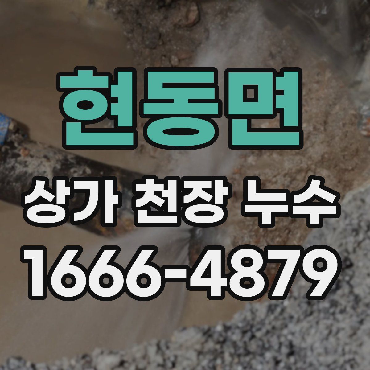 현동면 상가 천장 누수