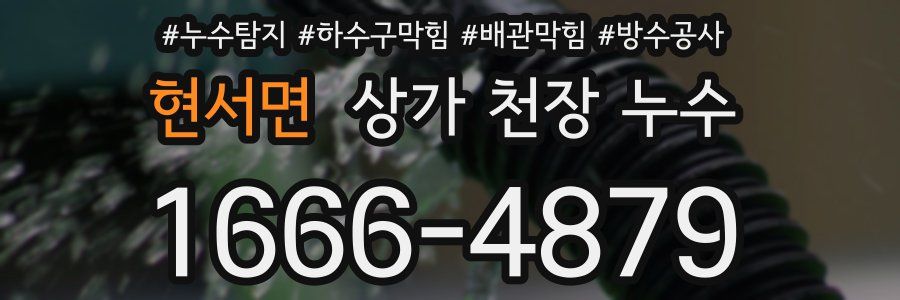 현서면 상가 천장 누수