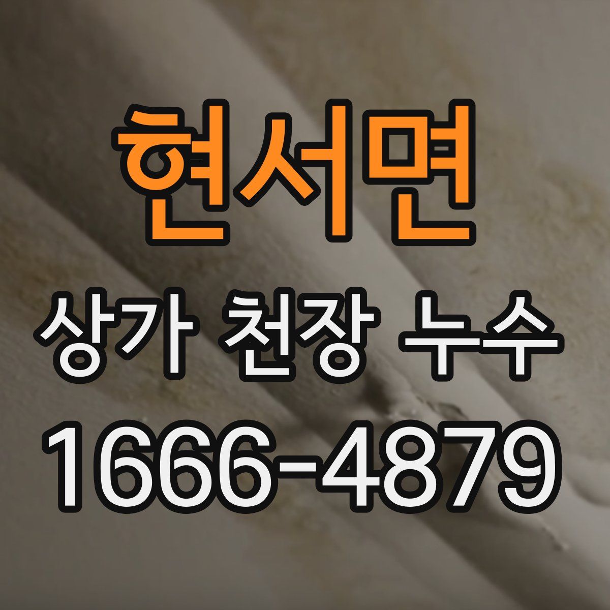 현서면 상가 천장 누수