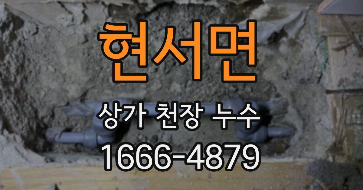 현서면 상가 천장 누수