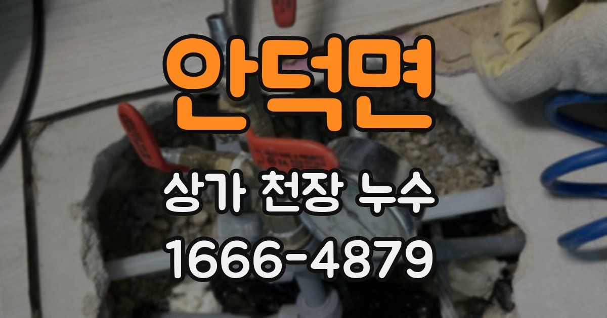 안덕면 상가 천장 누수