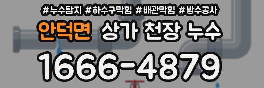 안덕면 상가 천장 누수